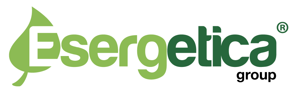 Logo Esergetica group